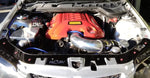 Holden VE Radiator Cover Panels Custom Design Set