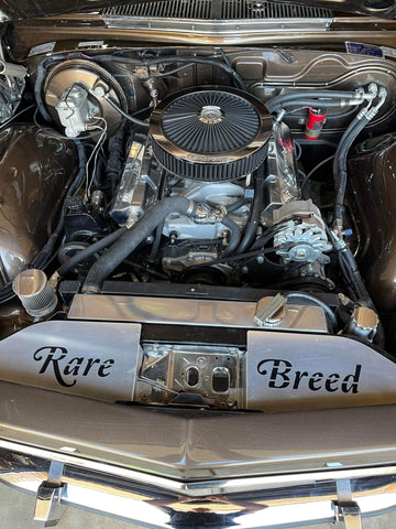 Hcs Radiator Emblem Holden HJ-HZ Radiator Infill Panels (2 Piece) with Custom Logos ...