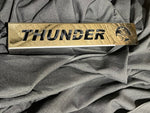 Holden VT VX VY VZ Commodore Fuse Box Cover THUNDER & Lion Logo