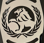 Holden HQ Radiator Infill Panels Logo & GTS